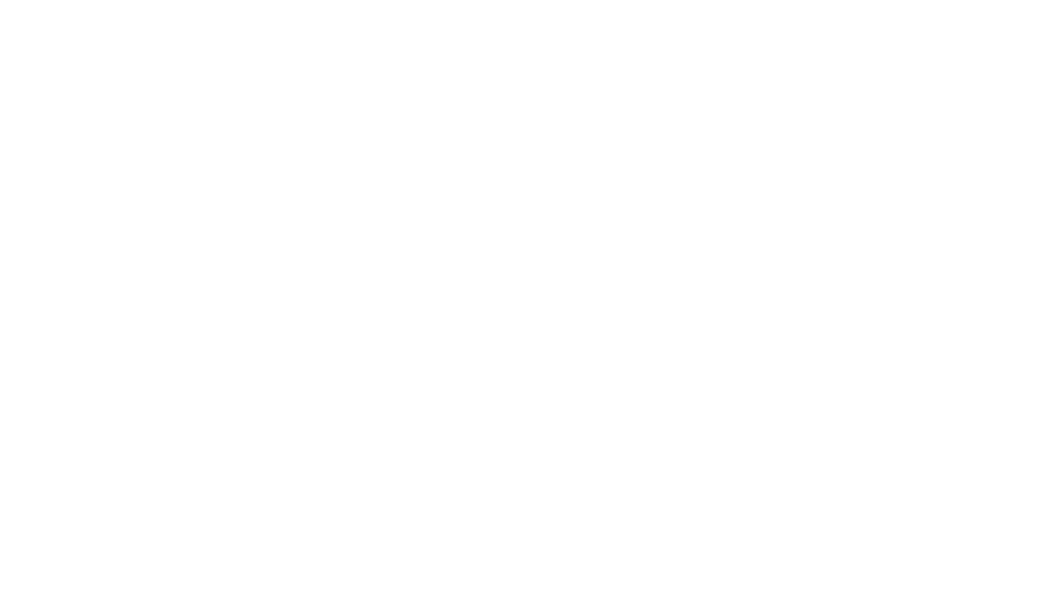 Fast 3-5 Day Shipping